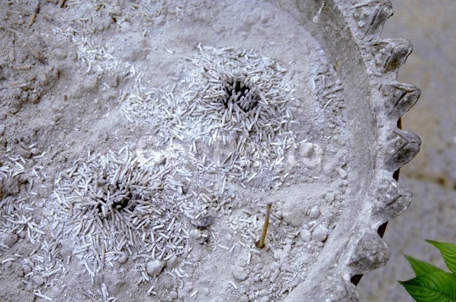 �������, �����, ���������� � ������ �� ����������, ����������, �������, ���������, �������