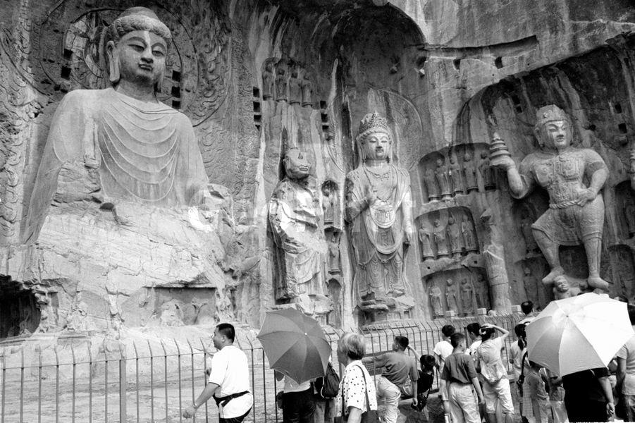 �����, �������� ������ �����, �����, �������, ���������, �������, ����������