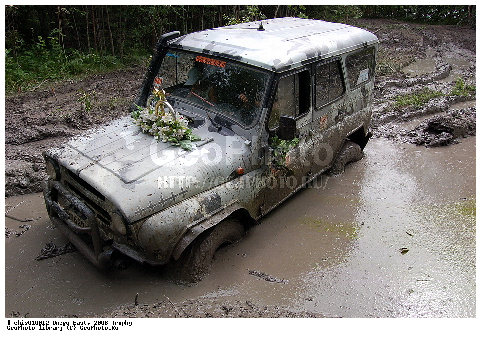 �����, ������, �����, 2008, ���, �����������, �����