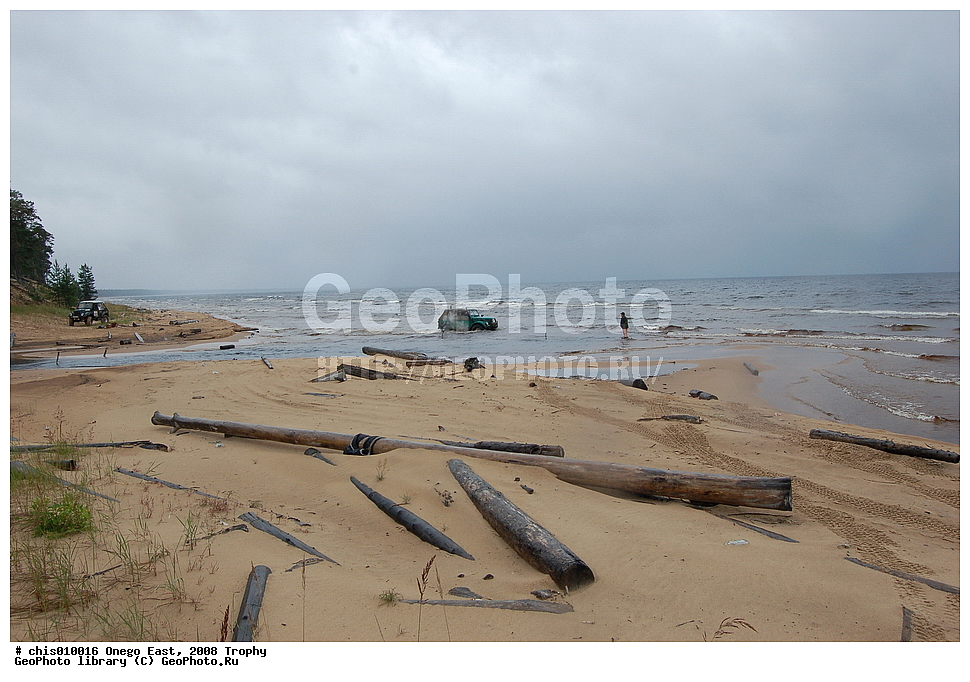 �����, ������, �����, 2008, ���, �����������, �����