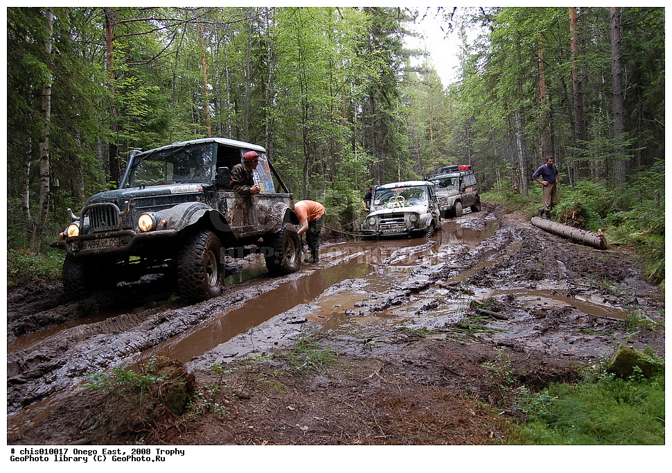 �����, ������, �����, 2008, ���, �����������, �����