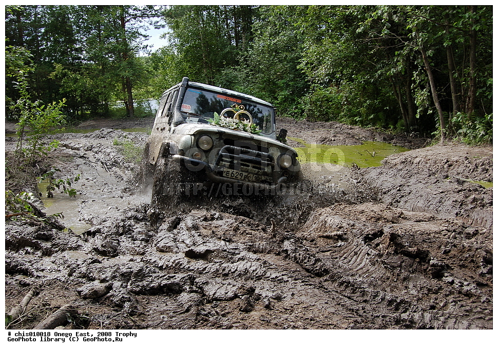 �����, ������, �����, 2008, ���, �����������, �����