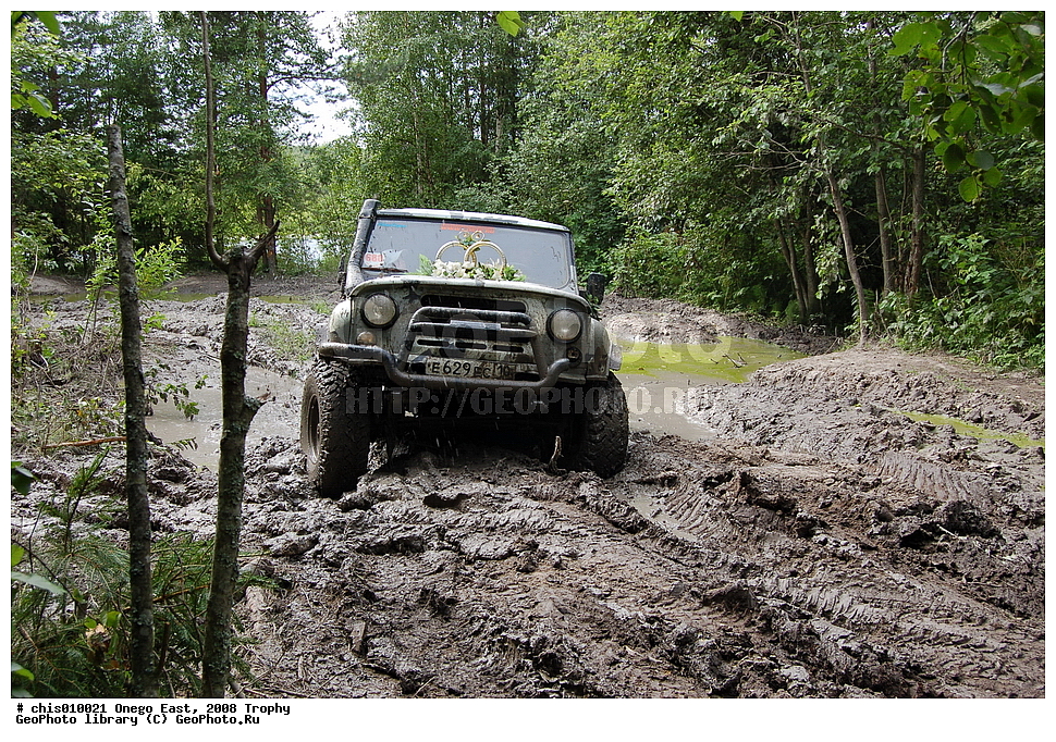 �����, ������, �����, 2008, ���, �����������, �����