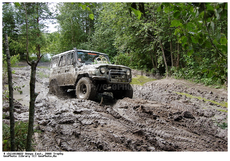 �����, ������, �����, 2008, ���, �����������, �����