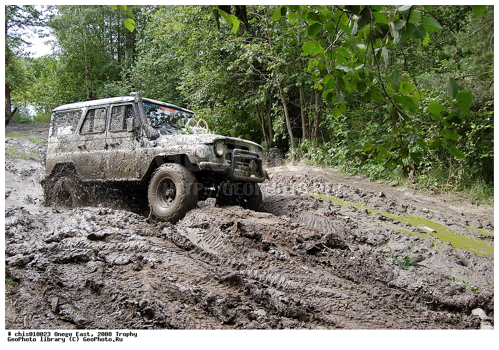 �����, ������, �����, 2008, ���, �����������, �����