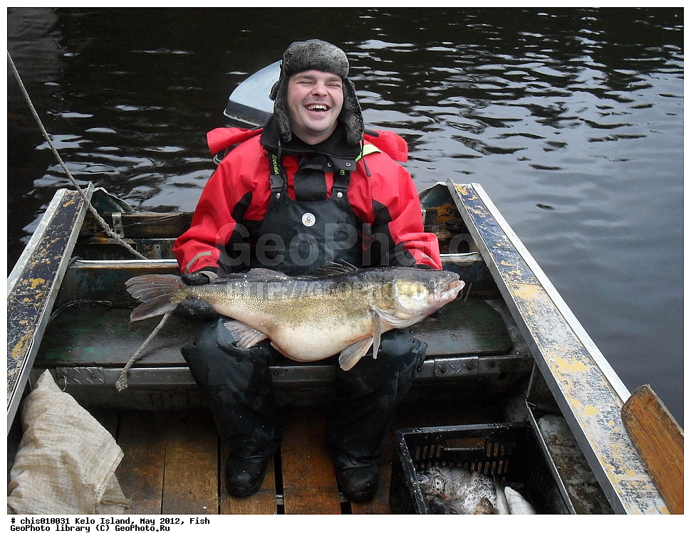 ������, ����, ���, 2012, ����