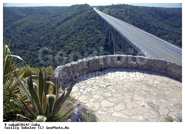 ����, ������