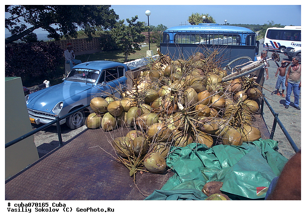 ��������, �����, ������