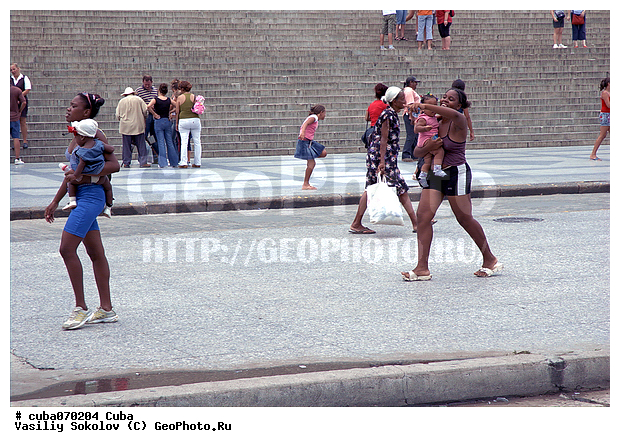 �����, ����, �����