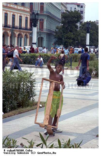 ����������, �������, �������, �������