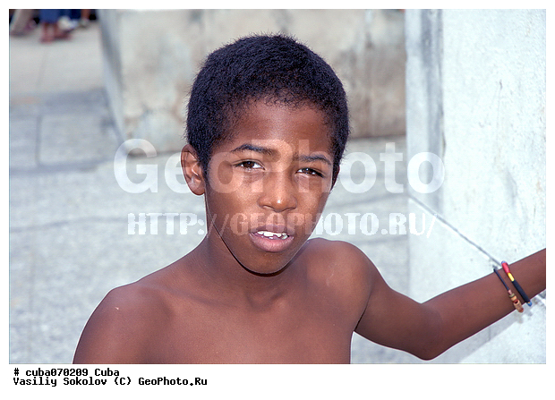 �������� ���������, �������, �������