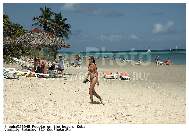 ��������, ����, ������, ������