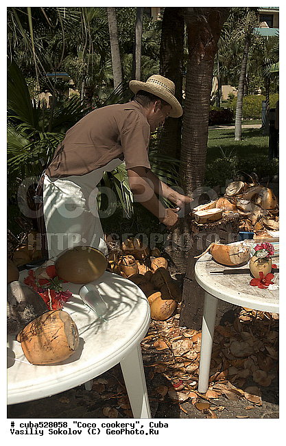 ��������, ����, ���, �����, ���������, ������, ������, ����, �����, ������������� ����, ������������ �����