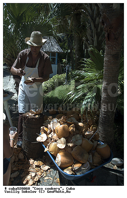 ��������, ����, ���, �����, ���������, ������, ������, ����, �����, ������������� ����, ������������ �����