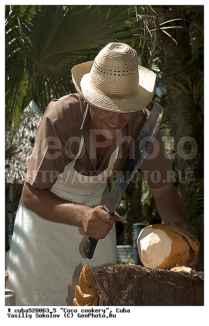 ��������, ����, ���, �����, ���������, ����, �����, ������������� ����, ������������ �����