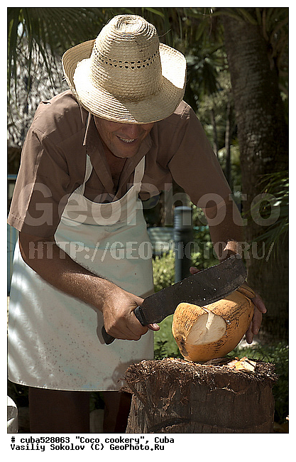 ��������, ����, ���, �����, ���������, ����, �����, ������������� ����, ������������ �����