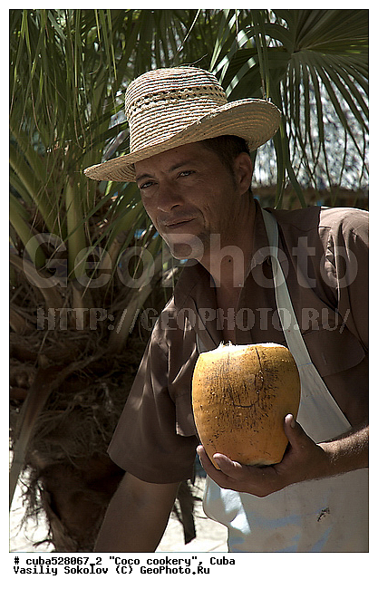 ��������, ����, ���, �����, ���������, ����, �����, ������������� ����, ������������ �����