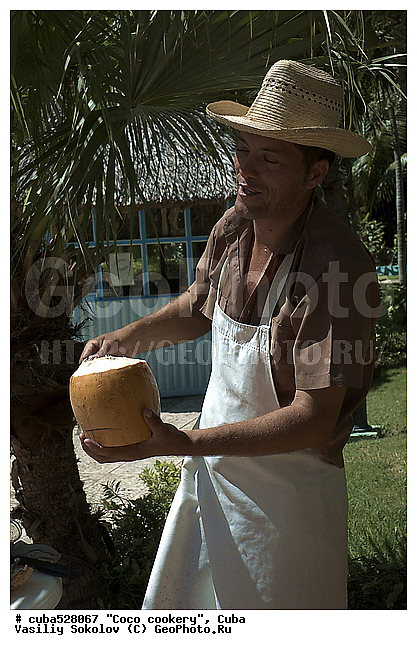 ��������, ����, ���, �����, ���������, ����, �����, ������������� ����, ������������ �����