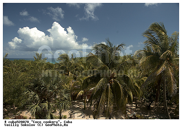 ��������, ����, �����, ������, ������, ��������� ������, ��������� ���, ������