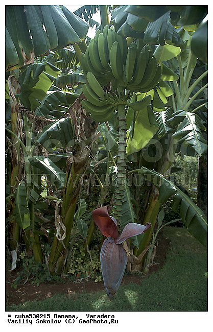 ����, �����, ��������� ������, ������, ������