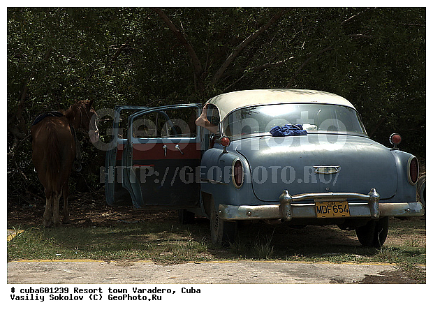 ��������, ����, �����, ��������� �����