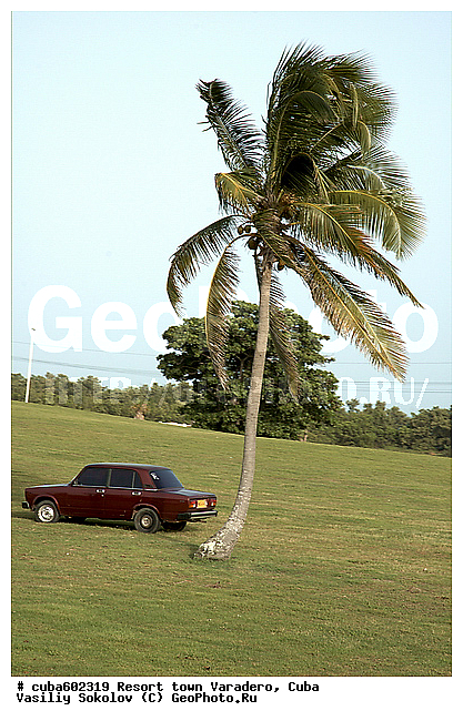 ��������, ����, �����, ��������� �����, ������, ������