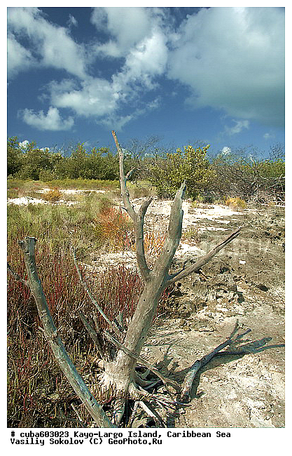 ����-�����, ��������� ����, ����, ����, �����, ������, ������ � ������, �����