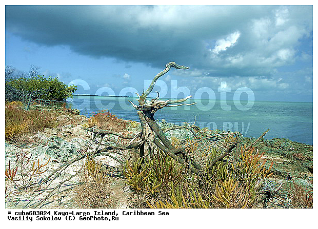 ����-�����, ��������� ����, ����, ����, �����, ������, ������ � ������, �����