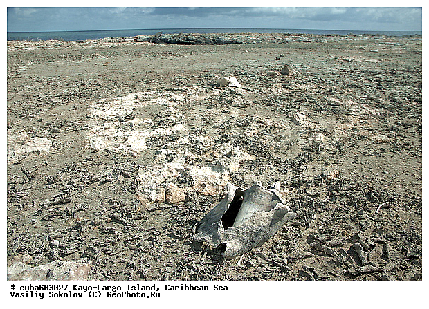 ����-�����, ��������� ����, ����, ����, �����, ������, ������ � ������, �����, ��������, �������, ������ ��������