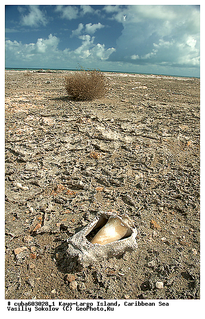 ����-�����, ��������� ����, ����, ����, �����, ������, ������ � ������, �����, ��������, �������, ������ ��������