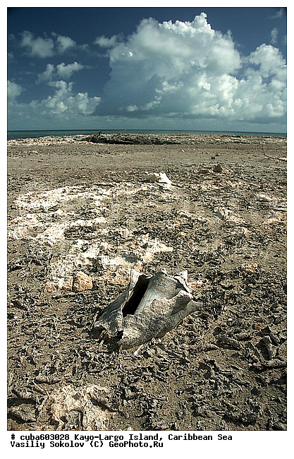 ����-�����, ��������� ����, ����, ����, �����, ������, ������ � ������, �����, ��������, �������, ������ ��������