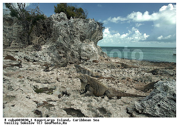 ����-�����, ��������� ����, ����, ����, �����, ������, ������ � ������, �����