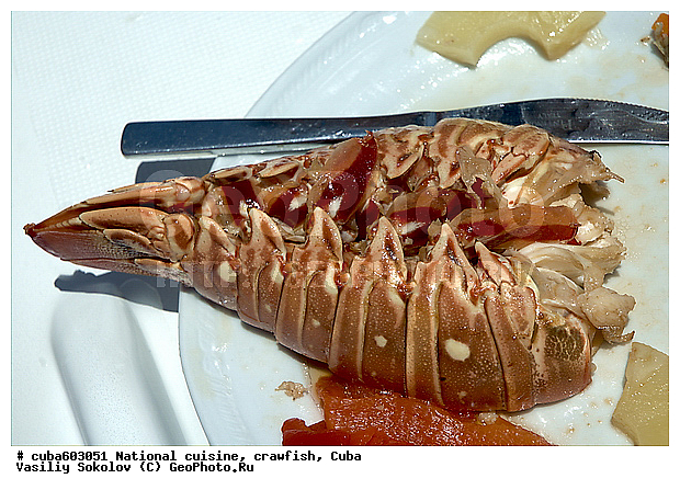 ����, �������, ������������ �����, ����