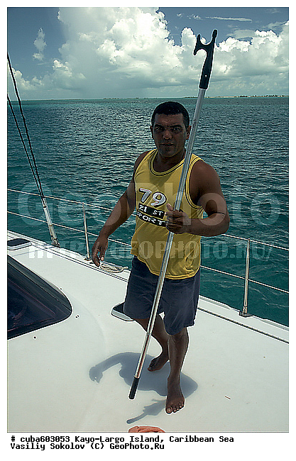 ����-�����, ��������� ����, ����, ����� ����, ������� ������, ����, �������, �����, ������, ������ � ������, �����, �������, ����