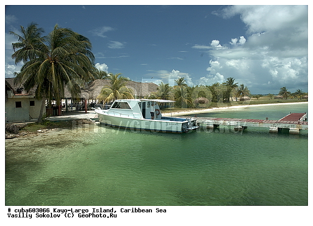 ����-�����, ��������� ����, ����, ����� ����, ����, �����, ������, ������ � ������, �����, ������, ������, ����, ������, ����