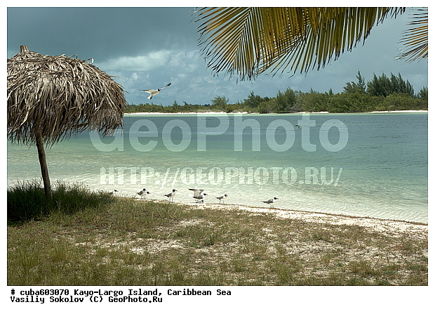 ����-�����, ��������� ����, ����, ����, �����, ������, ������ � ������, �����, ������, ��������� ������, ����, �����