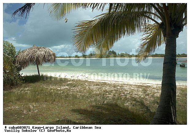 ����-�����, ��������� ����, ����, ����, �����, ������, ������ � ������, �����, ������, ��������� ������, ����, �����