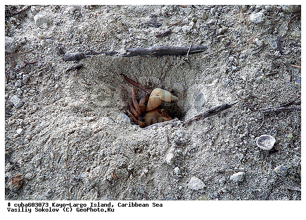 ����-�����, ����, ����, ������, ������ � ������, �����, ����������