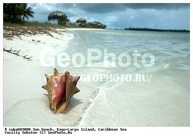 ����-�����, ��������� ����, ����, ����, �����, ������, ������ � ������, �����, �����, ����, ��������, �������