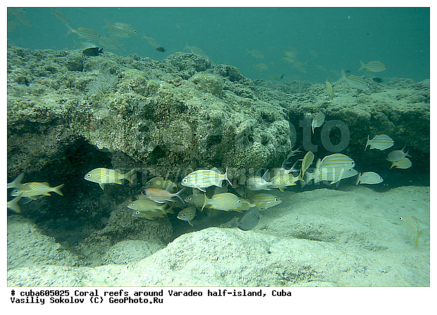 ������������� �����, ����, ������, ���������� ���, ����, �����, ���������, ���, ����