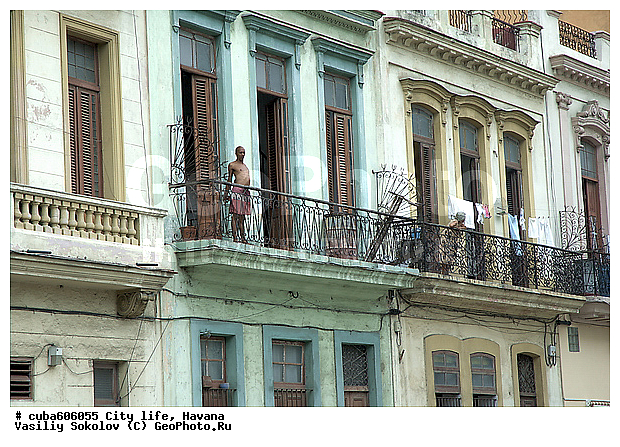 ������, ����, �����, ��������� �����, �����, ����, �����, �������