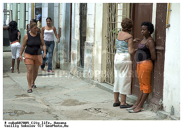 ������, ����, �����, ��������� �����, �����, ����, �����, �������