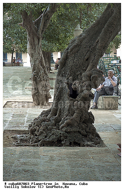 ������, ����, �����, ������, ����, ������