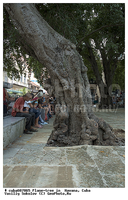 ������, ����, �����, ������, ����, ������