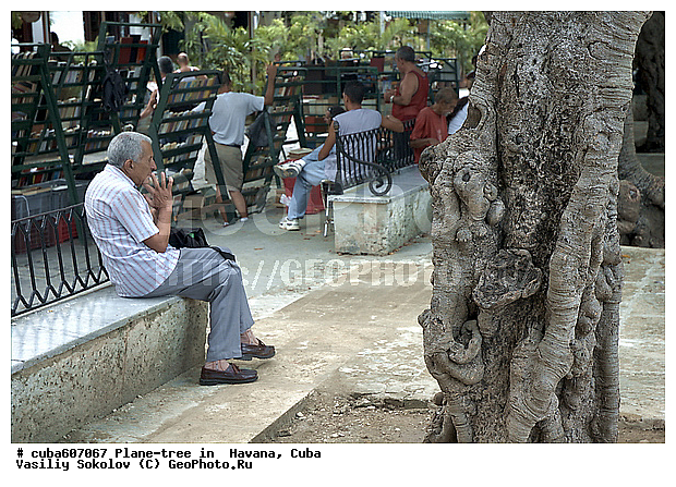 ������, ����, �����, ������, ����, ������