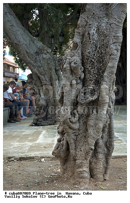 ������, ����, �����, ������, ����, ������