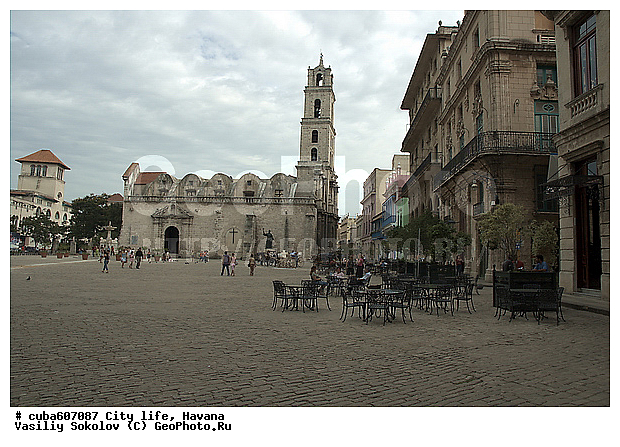 ������, ����, �����, ��������� �����, �����, ����, ����, �����, ������� ����, �������