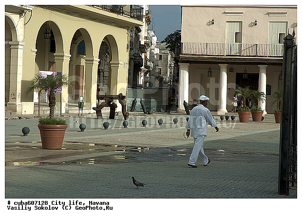 ������, ����, �����, ��������� �����, �����, ����, �����, �������