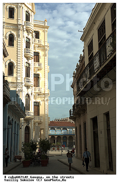 ����, �����������, �����, �����