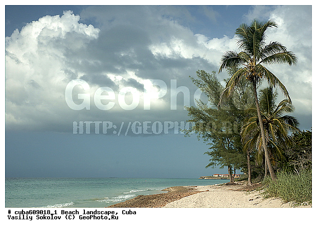 ��������, ����, ����, ������, ������, ������, �����, ����